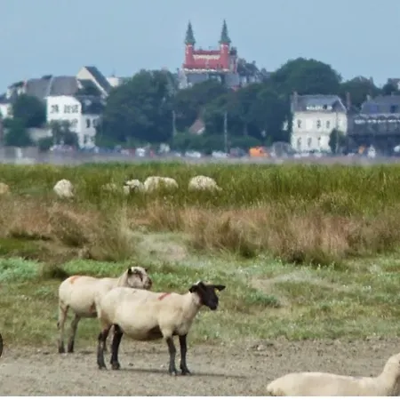 Les Sapins En Baie De Somme * Béhen